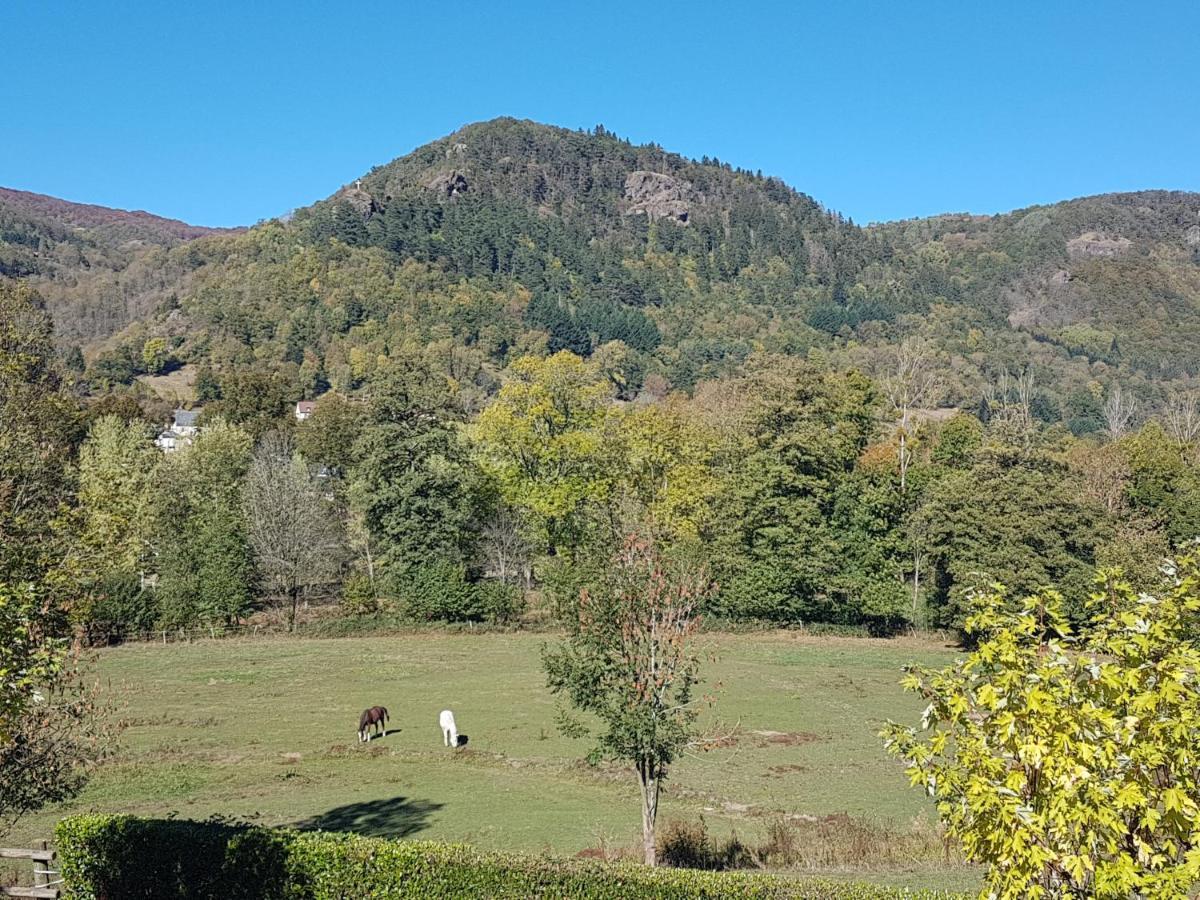 Le Kino Panorama Bed & Breakfast Vic sur Cere Bagian luar foto